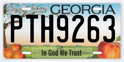 GA license plate PTH9263