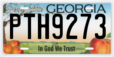 GA license plate PTH9273