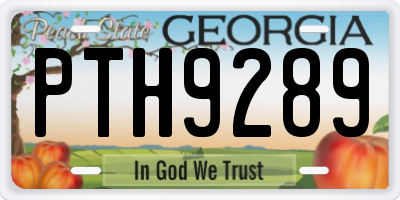 GA license plate PTH9289