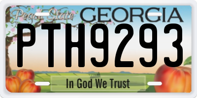 GA license plate PTH9293