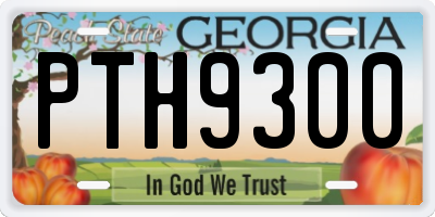 GA license plate PTH9300