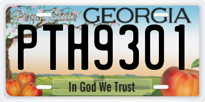 GA license plate PTH9301