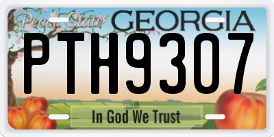 GA license plate PTH9307