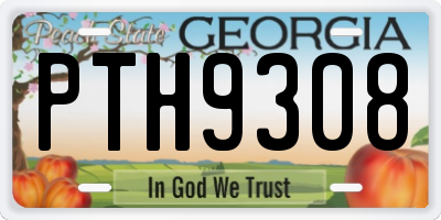 GA license plate PTH9308