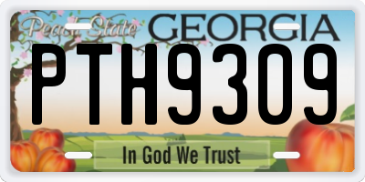 GA license plate PTH9309