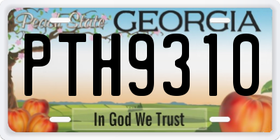 GA license plate PTH9310