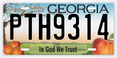 GA license plate PTH9314