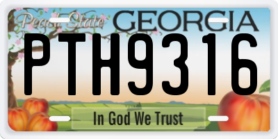 GA license plate PTH9316