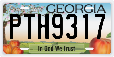 GA license plate PTH9317