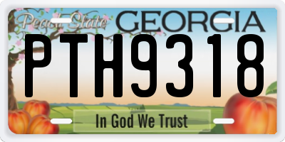 GA license plate PTH9318