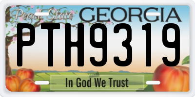 GA license plate PTH9319