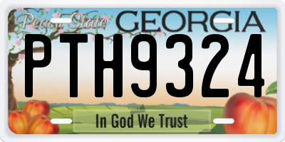 GA license plate PTH9324