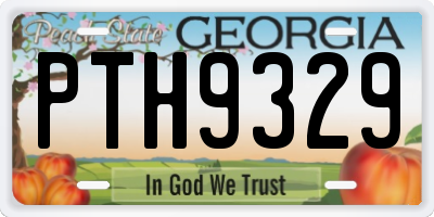 GA license plate PTH9329