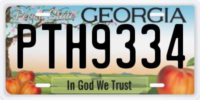 GA license plate PTH9334
