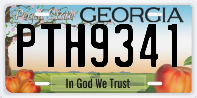 GA license plate PTH9341