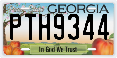 GA license plate PTH9344