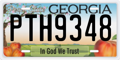 GA license plate PTH9348