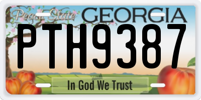 GA license plate PTH9387