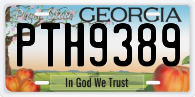 GA license plate PTH9389