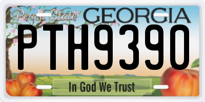 GA license plate PTH9390