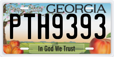 GA license plate PTH9393