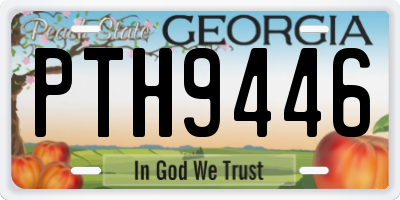 GA license plate PTH9446