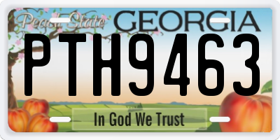GA license plate PTH9463