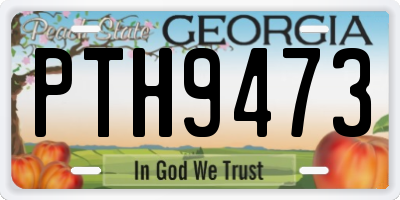 GA license plate PTH9473