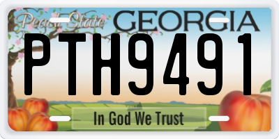 GA license plate PTH9491