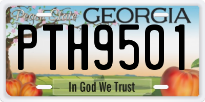 GA license plate PTH9501