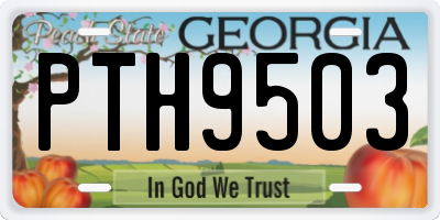 GA license plate PTH9503