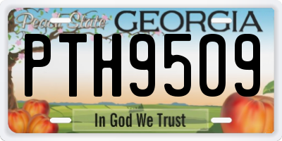GA license plate PTH9509