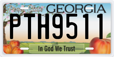 GA license plate PTH9511