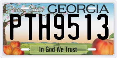 GA license plate PTH9513