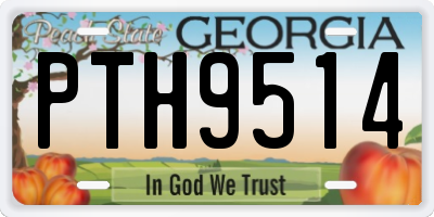 GA license plate PTH9514