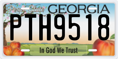 GA license plate PTH9518