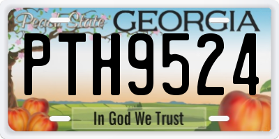 GA license plate PTH9524