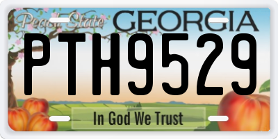 GA license plate PTH9529