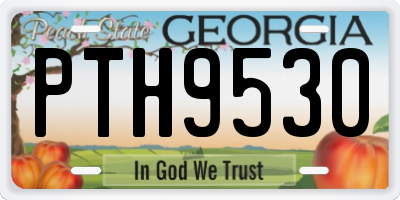 GA license plate PTH9530