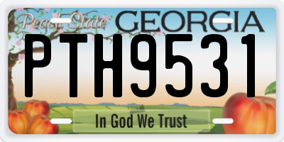 GA license plate PTH9531