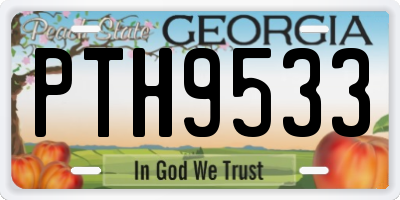 GA license plate PTH9533