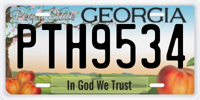 GA license plate PTH9534