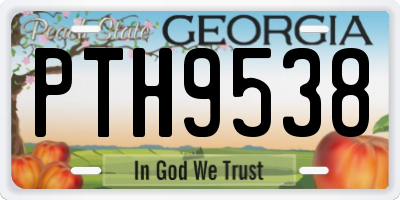 GA license plate PTH9538