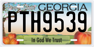 GA license plate PTH9539