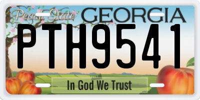 GA license plate PTH9541
