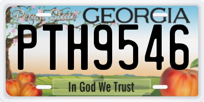 GA license plate PTH9546