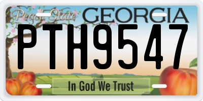 GA license plate PTH9547
