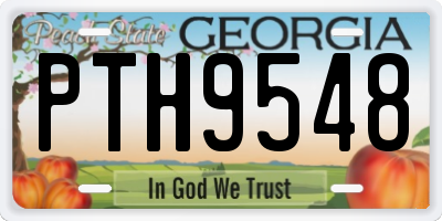 GA license plate PTH9548