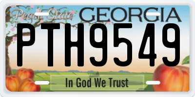 GA license plate PTH9549