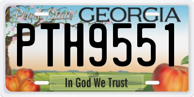 GA license plate PTH9551